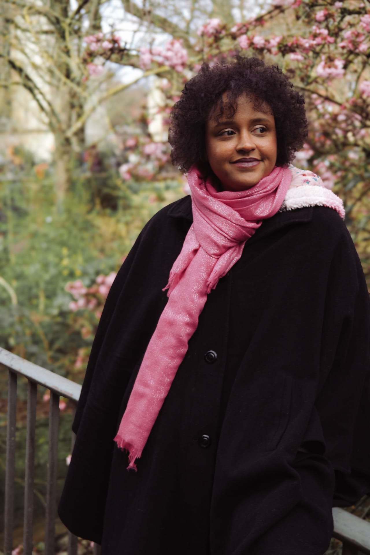 20260516 Stella foto